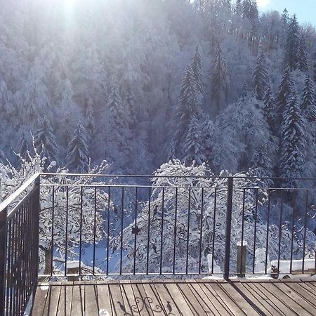 Villa Turisticna Kmetija Weiss Miklavz pri Taboru Exterior foto