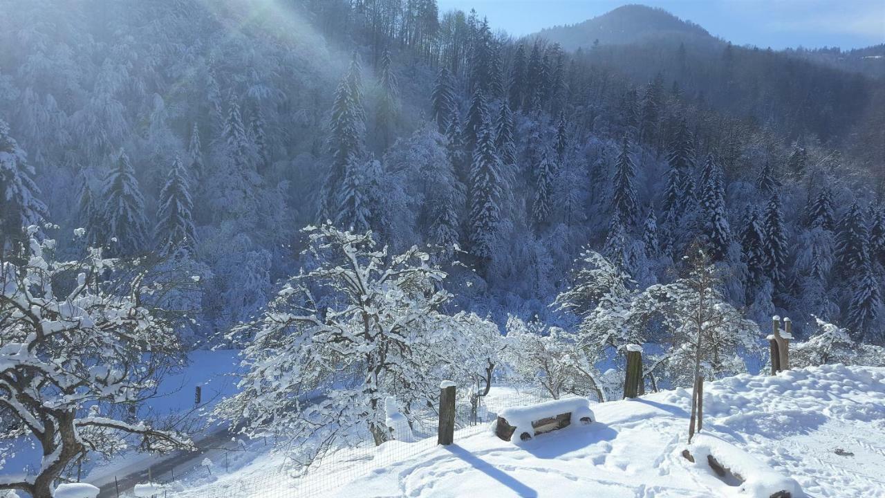 Villa Turisticna Kmetija Weiss Miklavz pri Taboru Exterior foto