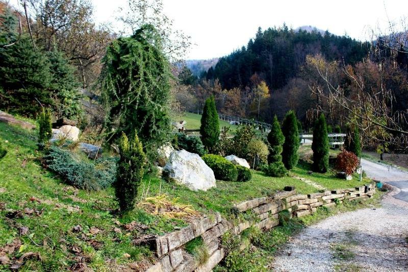 Villa Turisticna Kmetija Weiss Miklavz pri Taboru Exterior foto